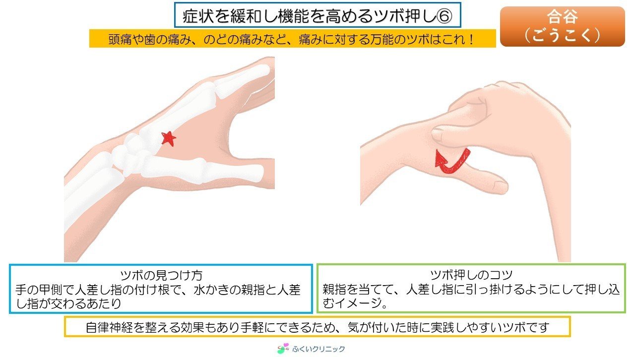 画像15