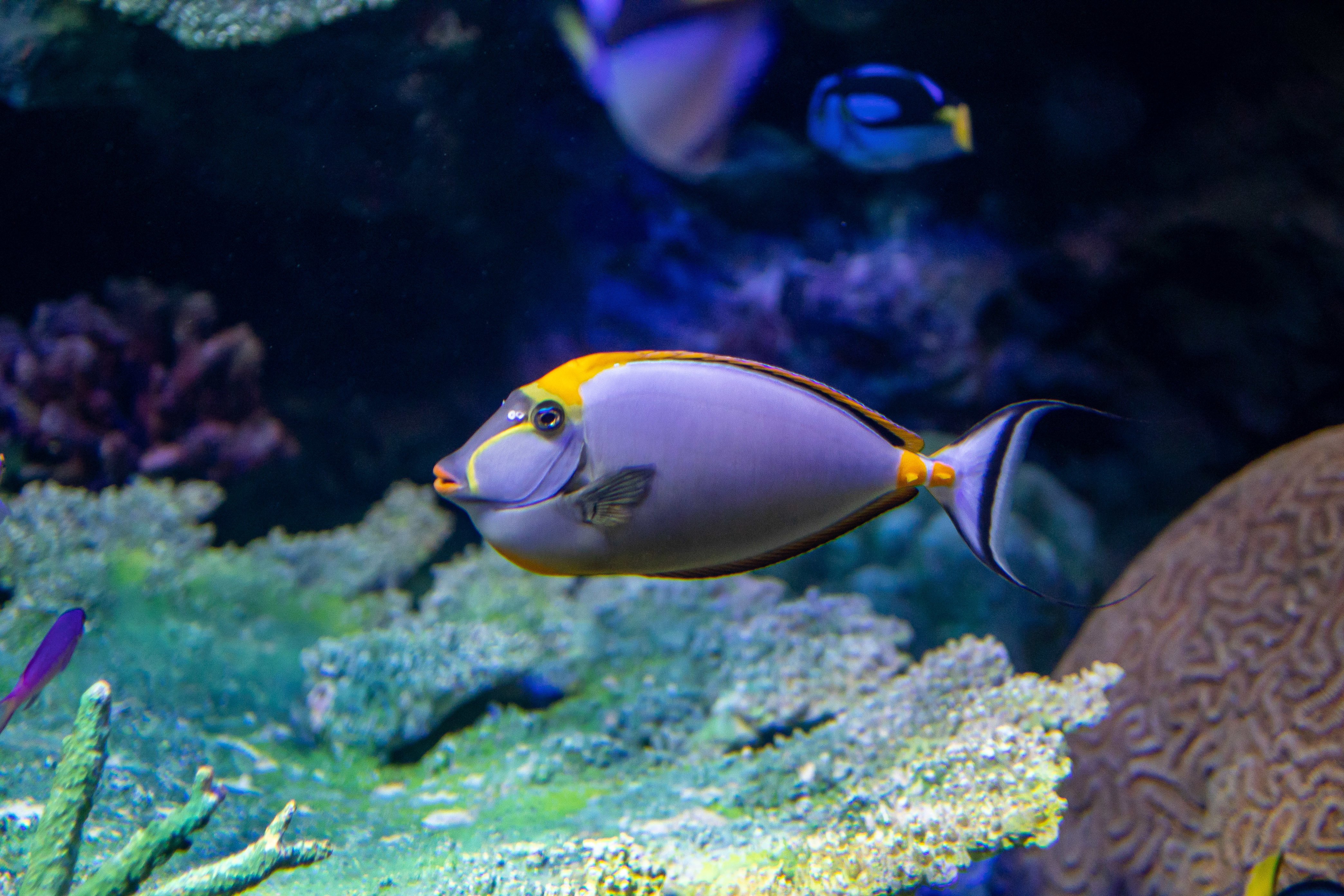 撮影記録 サンシャイン水族館 Re 14 Note 撮影記録 サンシャイン水族館 Re 14 Note