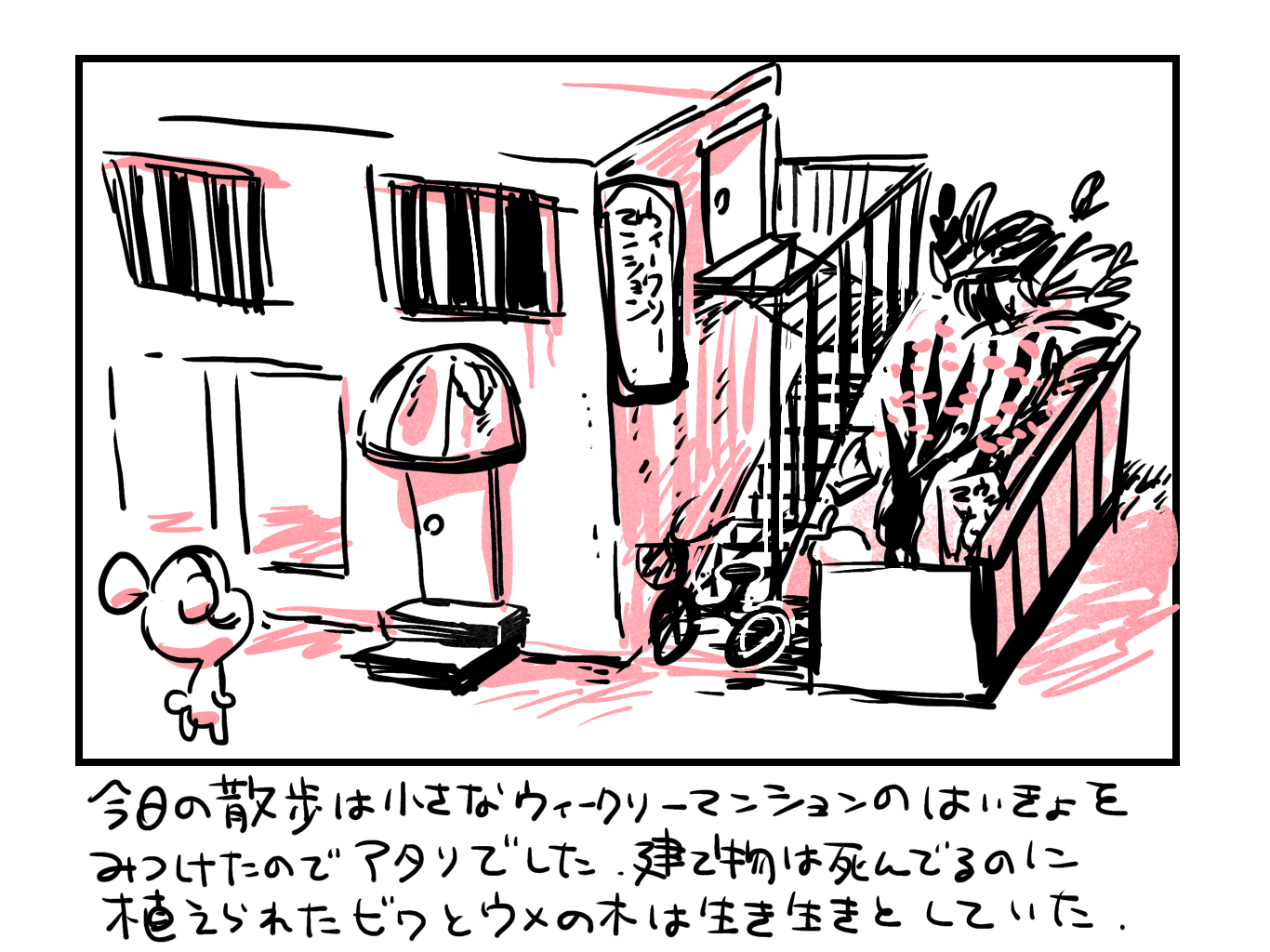 画像7