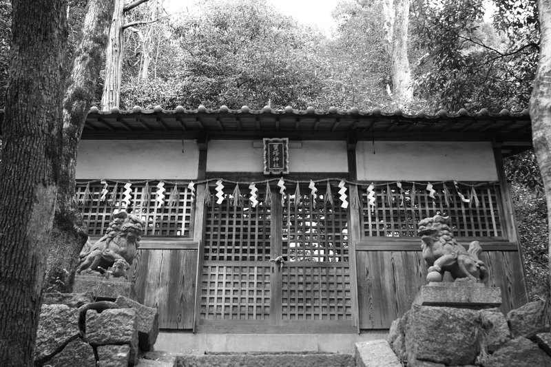 山中の神　　　山の中腹に佇む神社。里からそれほど離れていないので、綺麗に掃除もしてありました。後ろの木が無くて、空が抜けているともっと良かったんですけどね。
