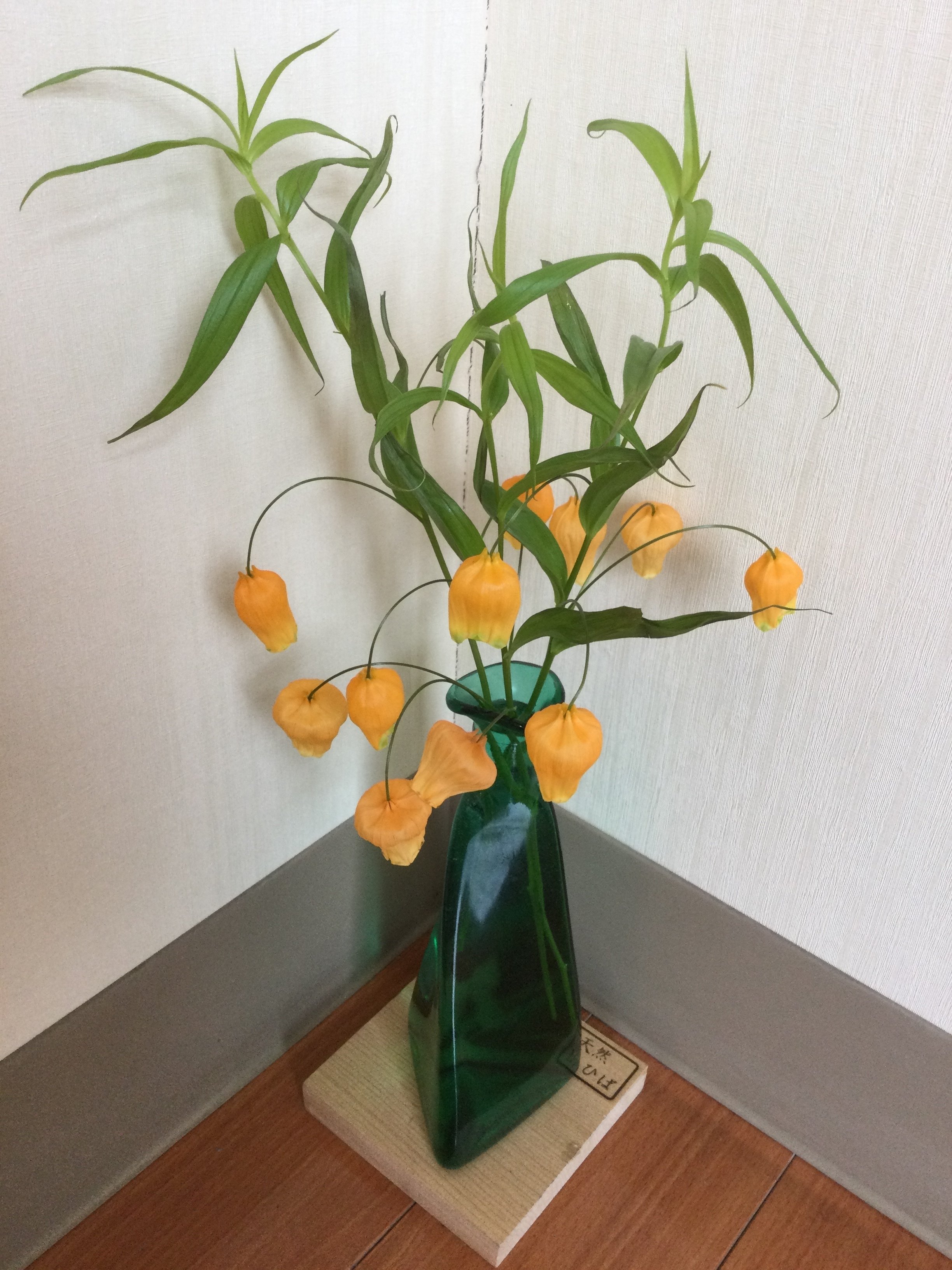 歯科医院の待合室を飾る生花 もも Note
