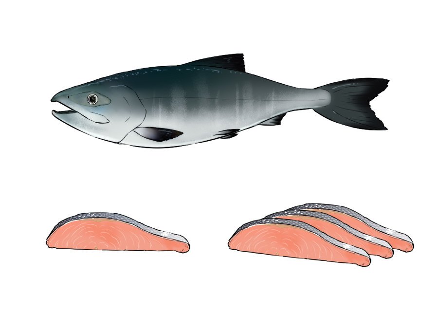 鮭 中嶋 友稀 Note