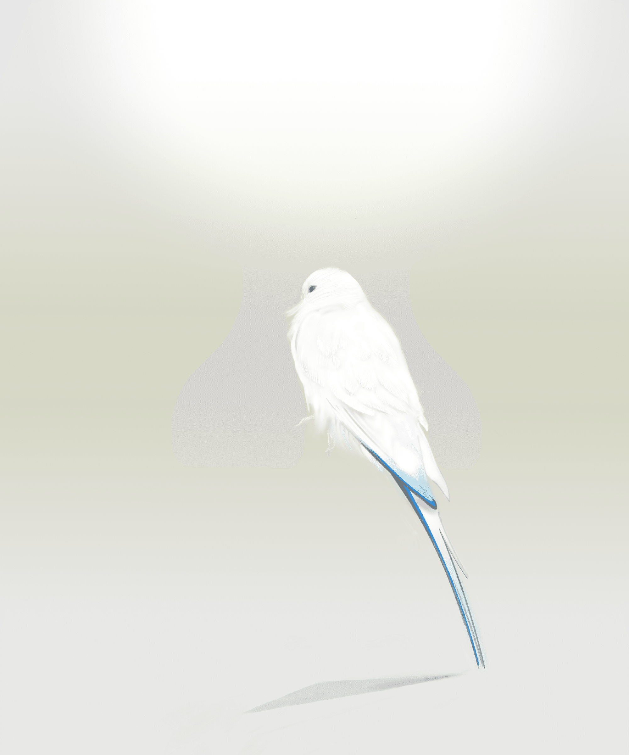 未来を向く白い鳥 Nashi Note