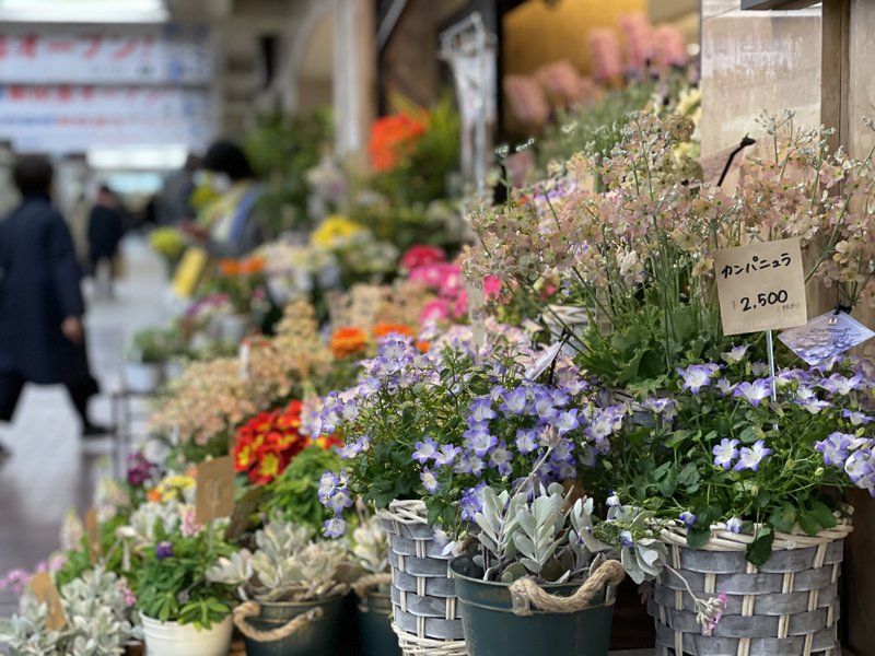 たとえば… 待ち合わせは花屋の前、 これだけでワクワクですよね！💕 同じ時間待っても どうせなら場所や、雰囲気、 そんな演出をすると楽しいよね。 さあ、魔女の人生も楽しく演出！🤗