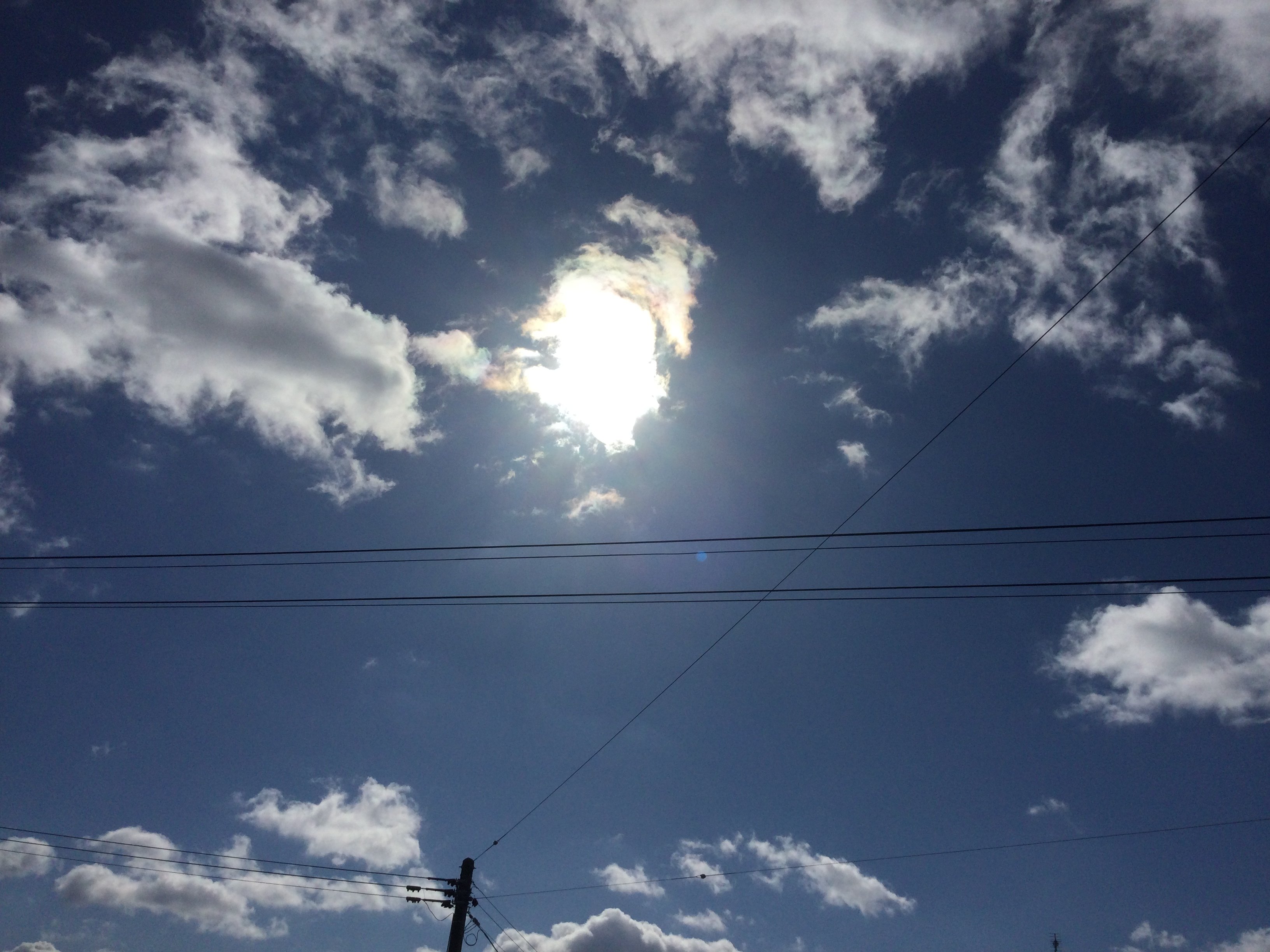 午前10時の燦燦と輝く太陽 もも Note