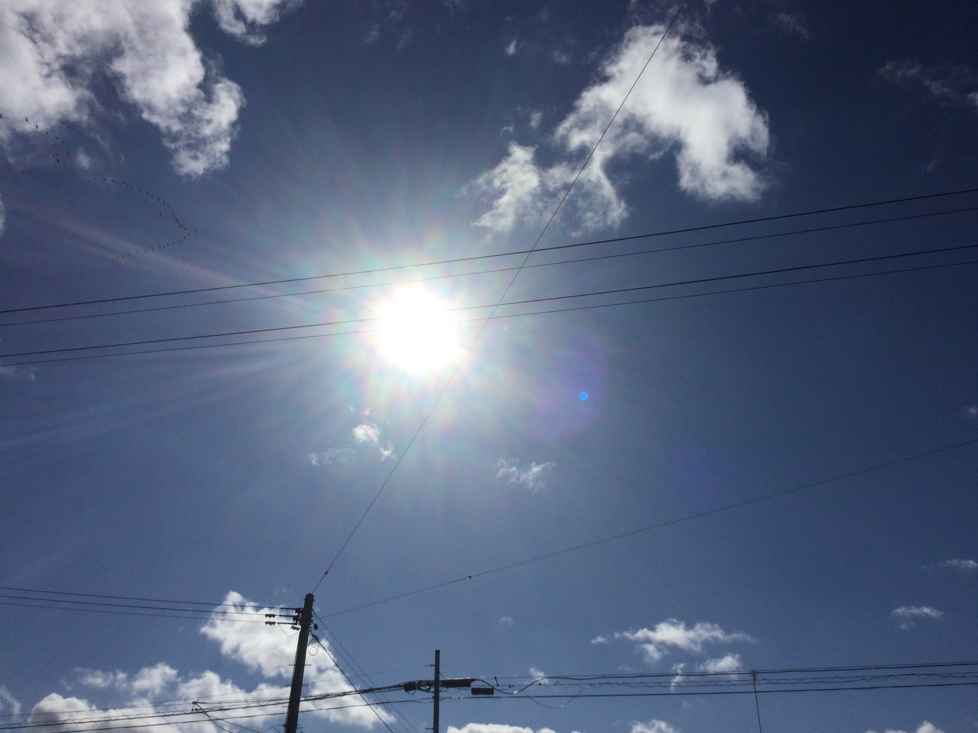 午前10時の燦燦と輝く太陽 もも Note