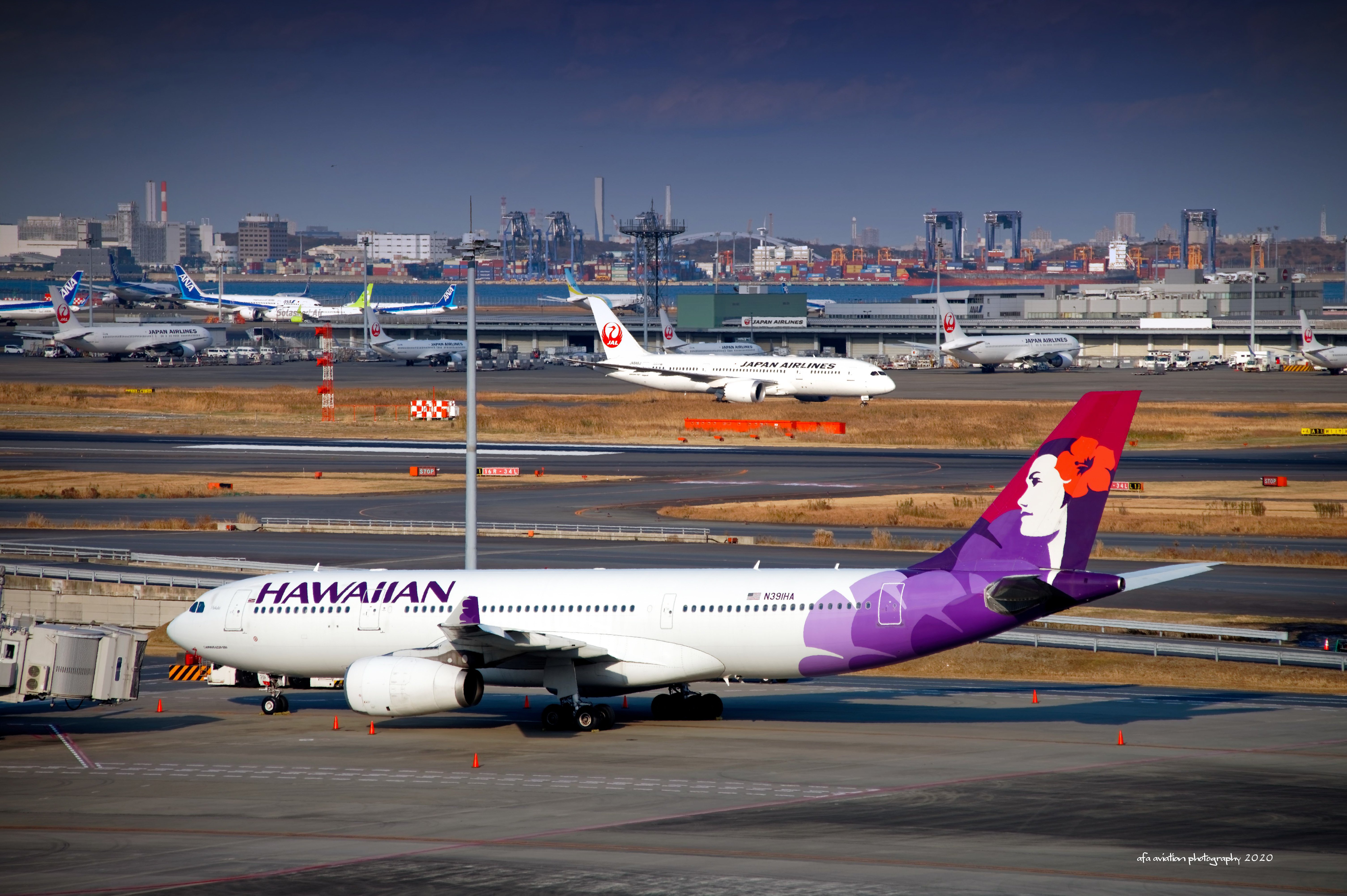 ハワイアン航空」の人気タグ記事一覧｜note ――つくる、つながる