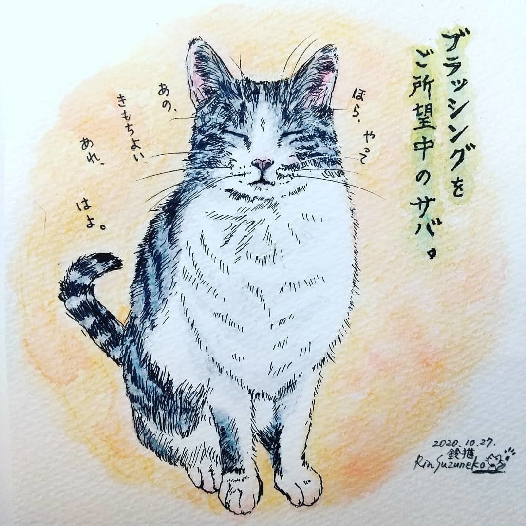 うちの５にゃんずイラスト １ 全6枚 Rinsuzuneko 鈴猫麟 Note