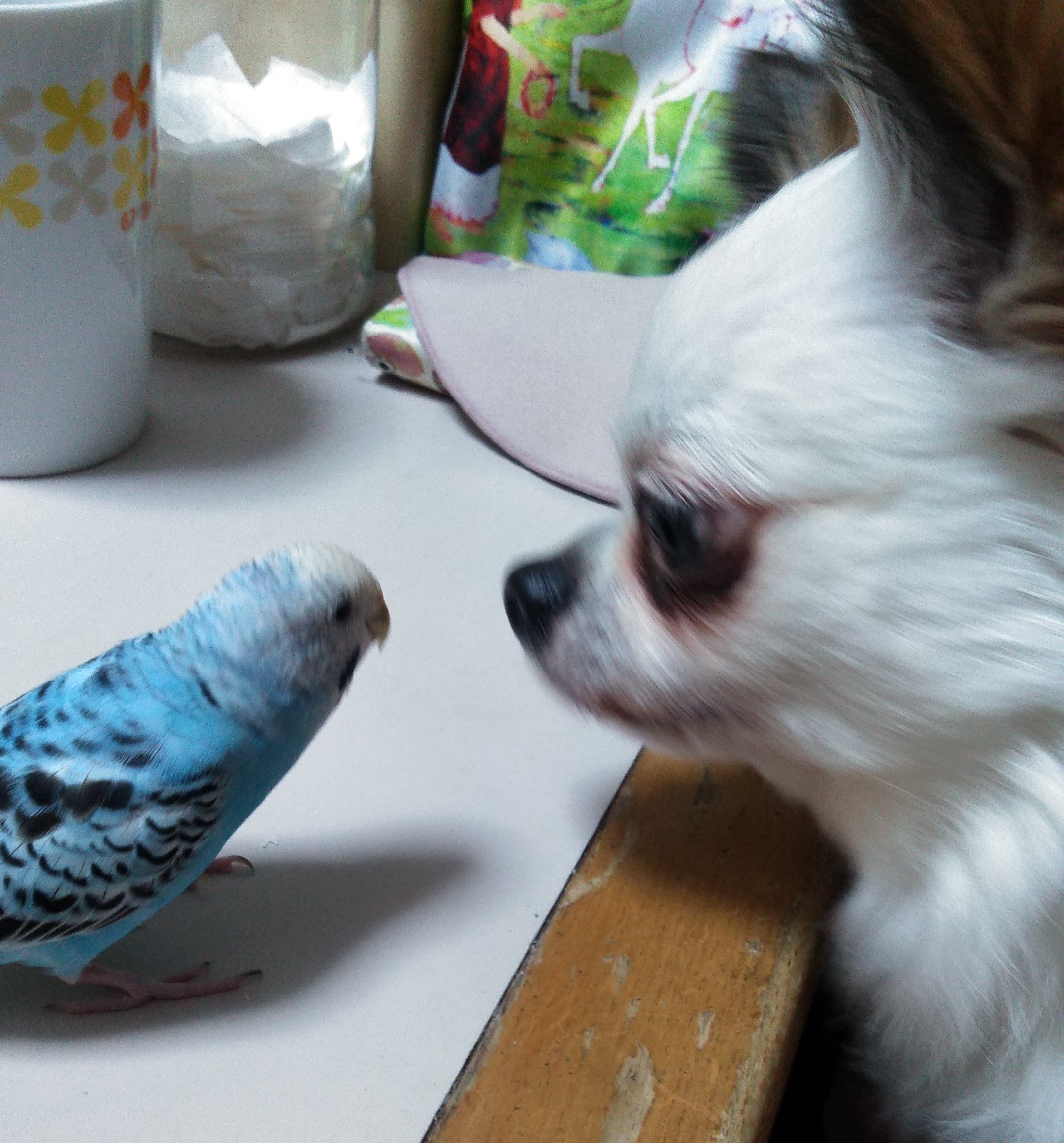にらめっこ いえ キスする寸前のツーショットですよ ひろまる愛理 Note にらめっこ いえ キスする寸前のツーショットですよ ひろまる愛理 Note