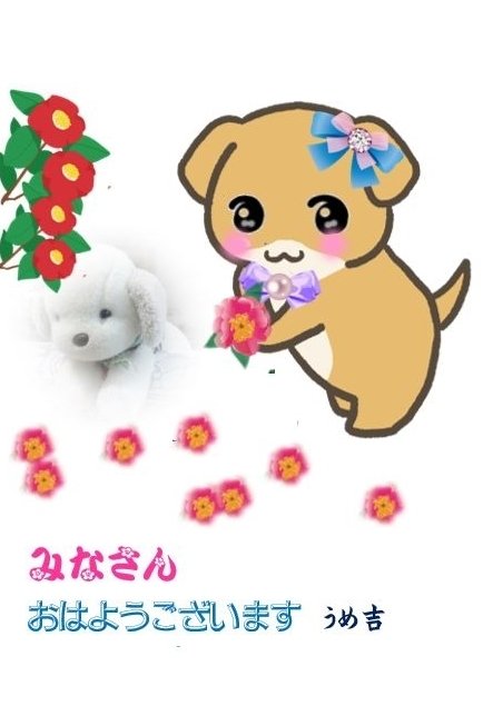 これ 髪飾りにするワン 大阪のうめ吉 Note
