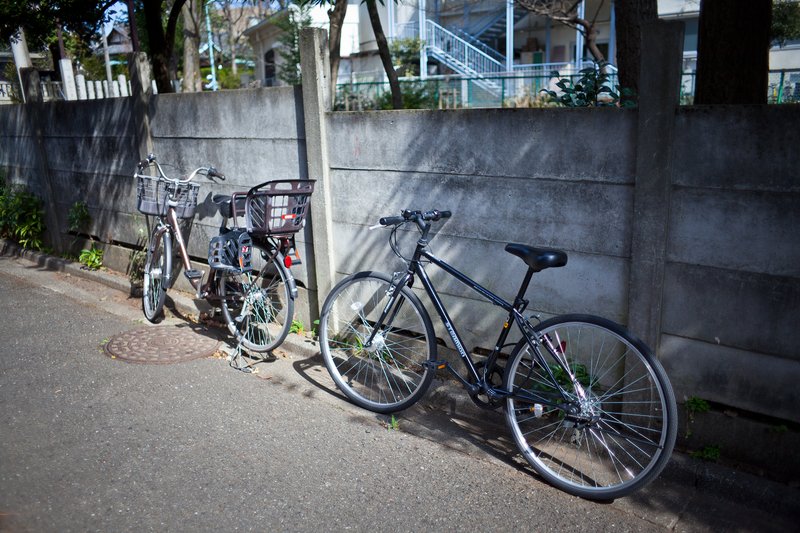 　参道、横道...　最初はこちらをタイトルに考えていた。