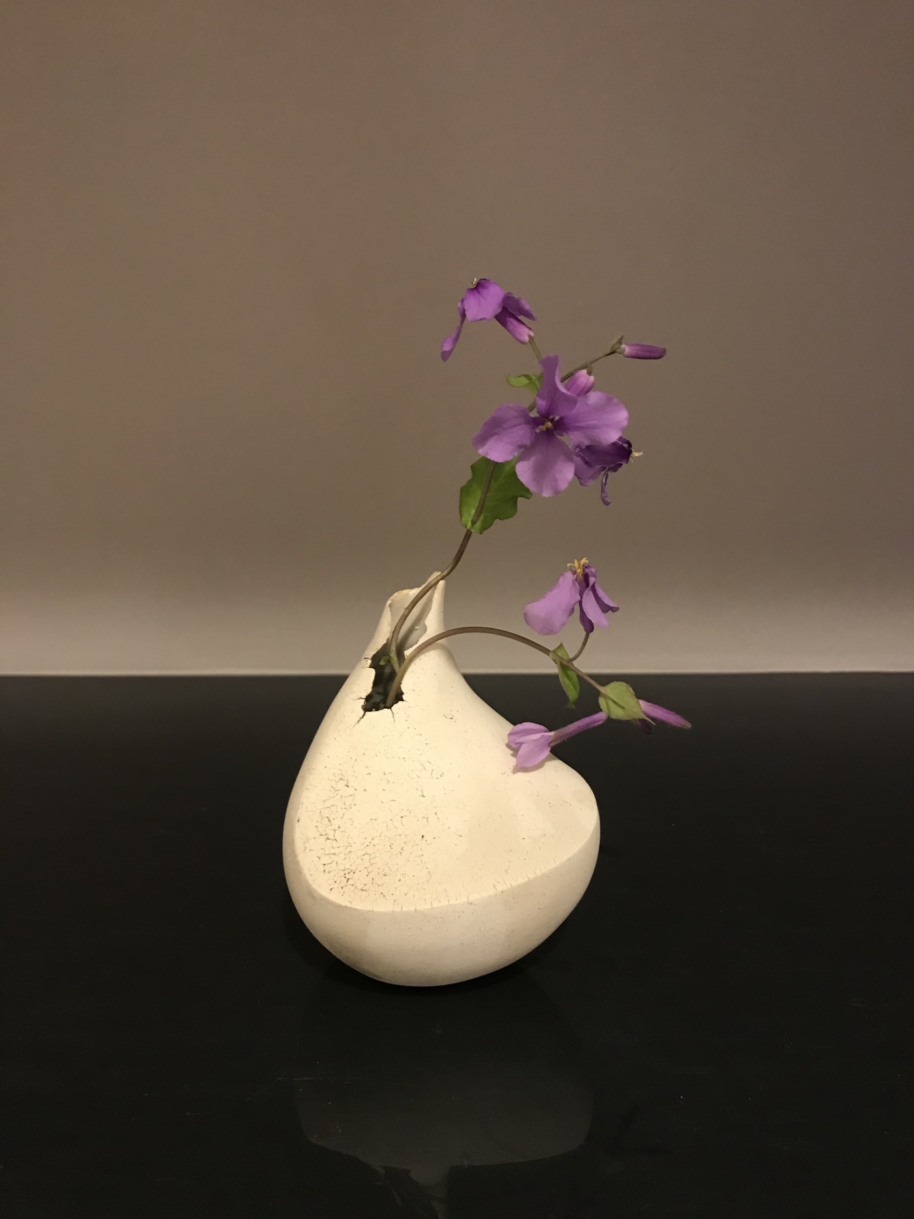 道草 Elegantly Simple 26 花大根 Ochi Kochi Note 道草 Elegantly Simple 26 花大根 Ochi Kochi Note