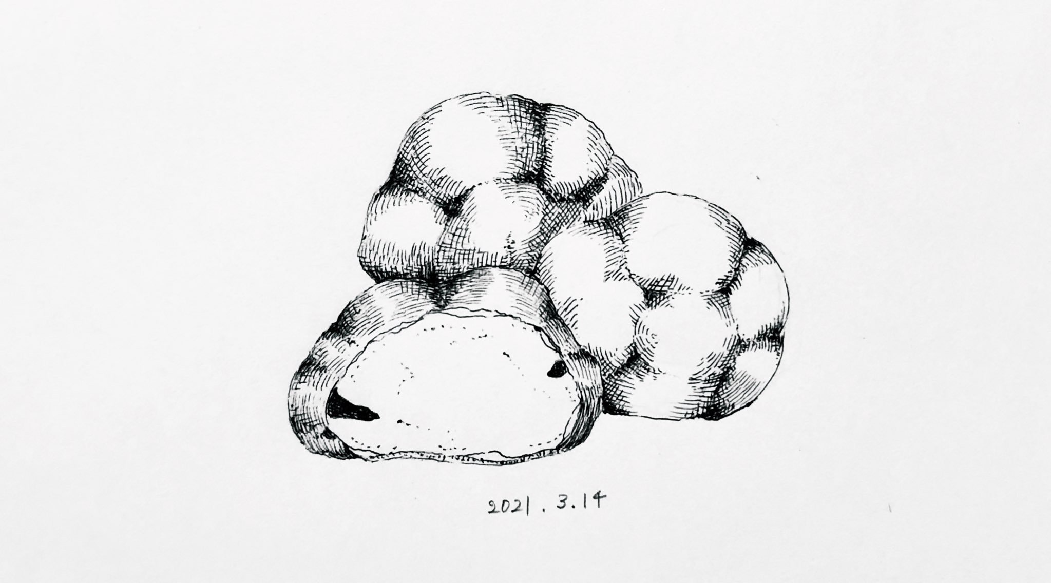 ボールペンイラスト シュークリーム ねるこ ボールペン画 Note