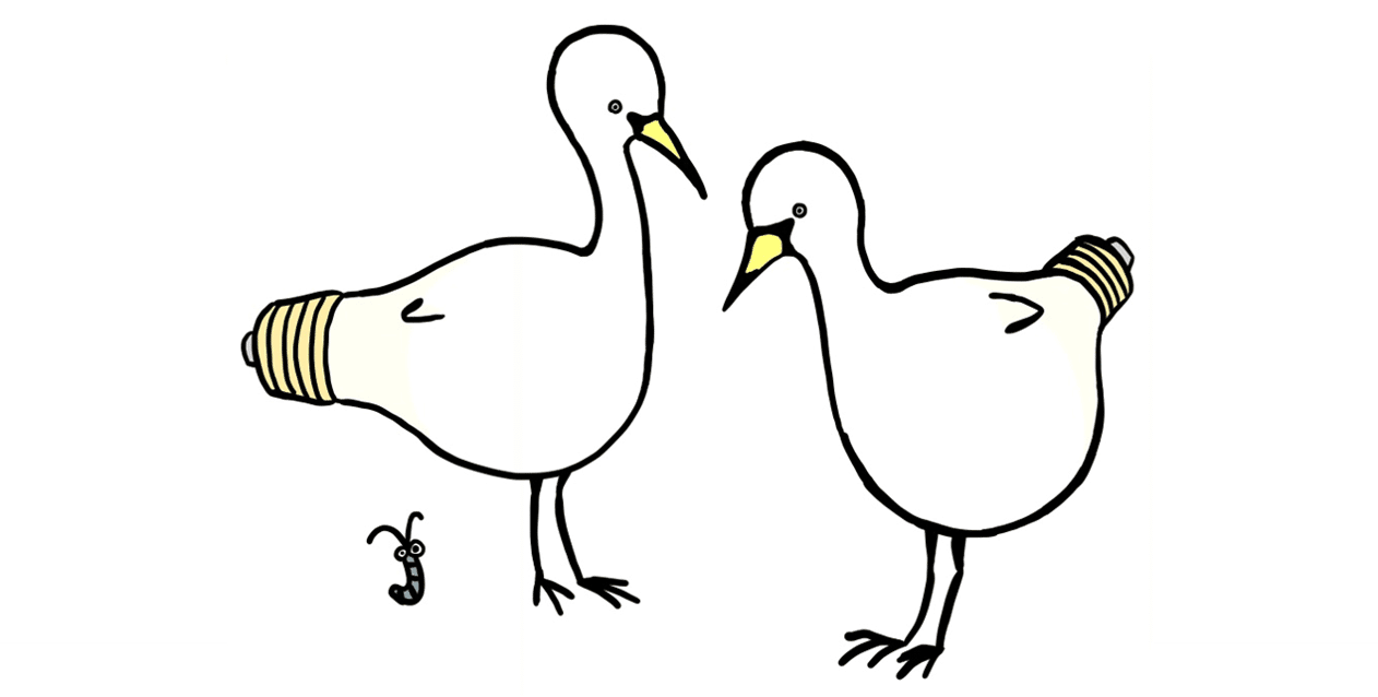2羽の鳥電球さん りべしん Note 2羽の鳥電球さん りべしん Note
