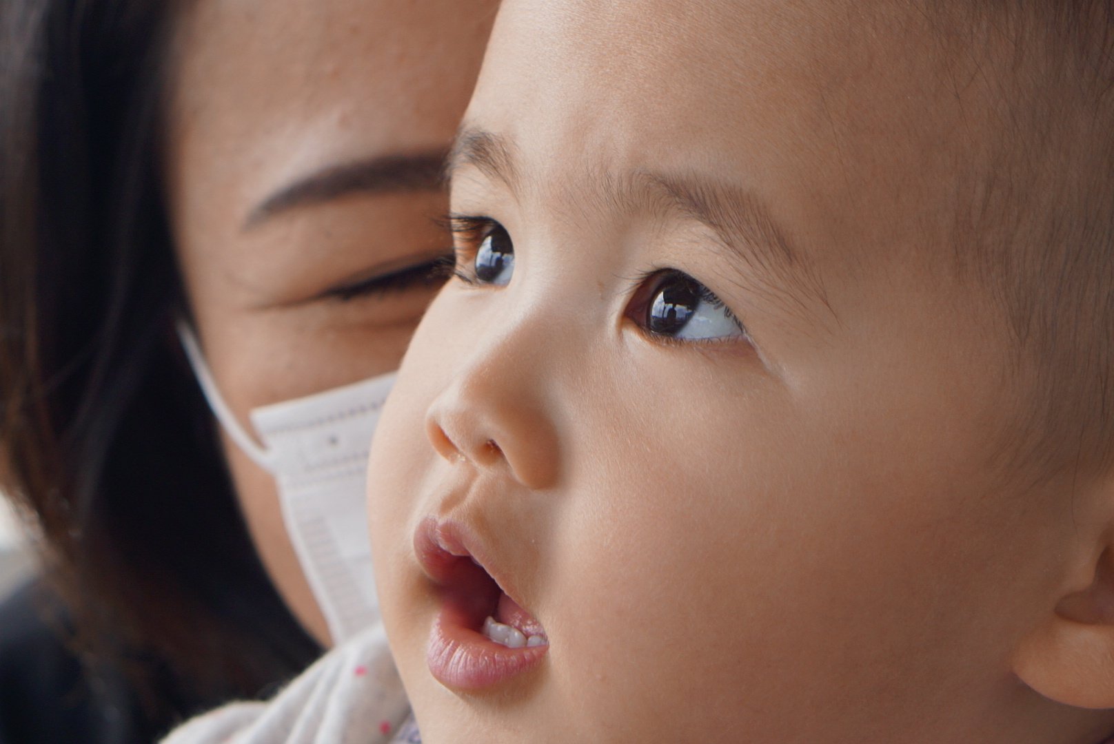 郷愁の黒糖 海が見えるパン屋さん Note