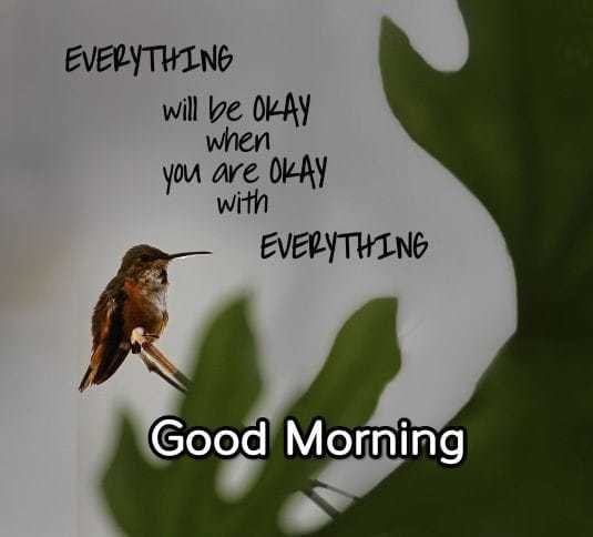 インドからの朝の挨拶 アジアなう Note