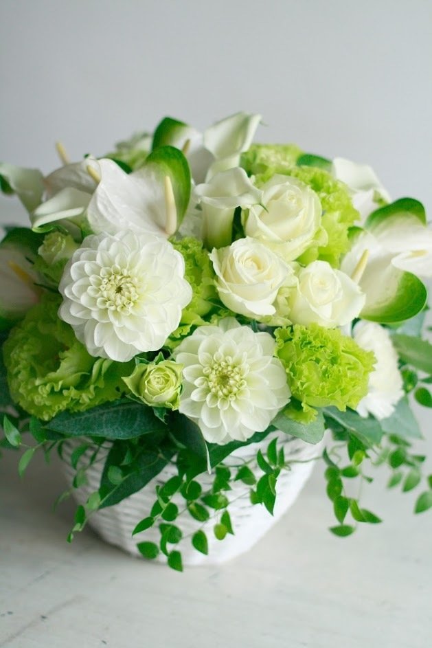 癒しの花flower Photo Mashiron Note 癒しの花flower Photo Mashiron Note