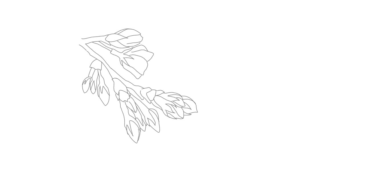 イルカとスナメリと桜 椿 Tsubaki Note