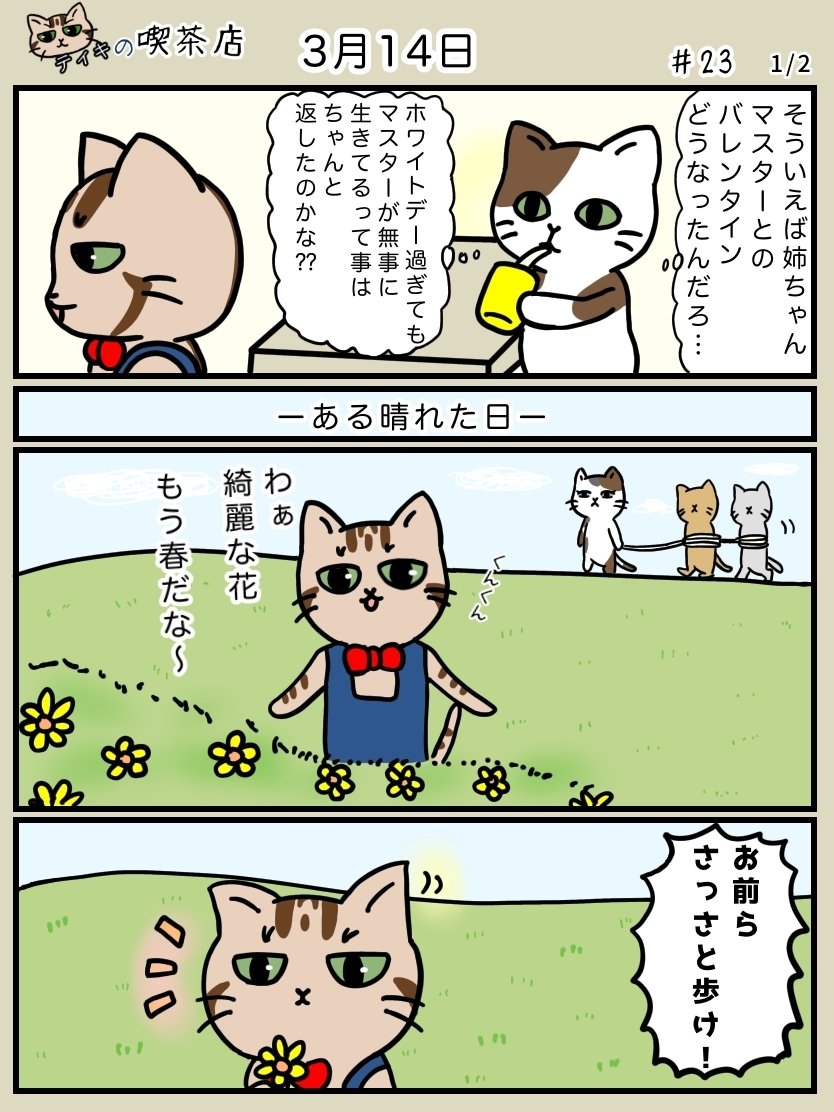 ティキの喫茶店 3月14日 めこたん 漫画 イラスト Note