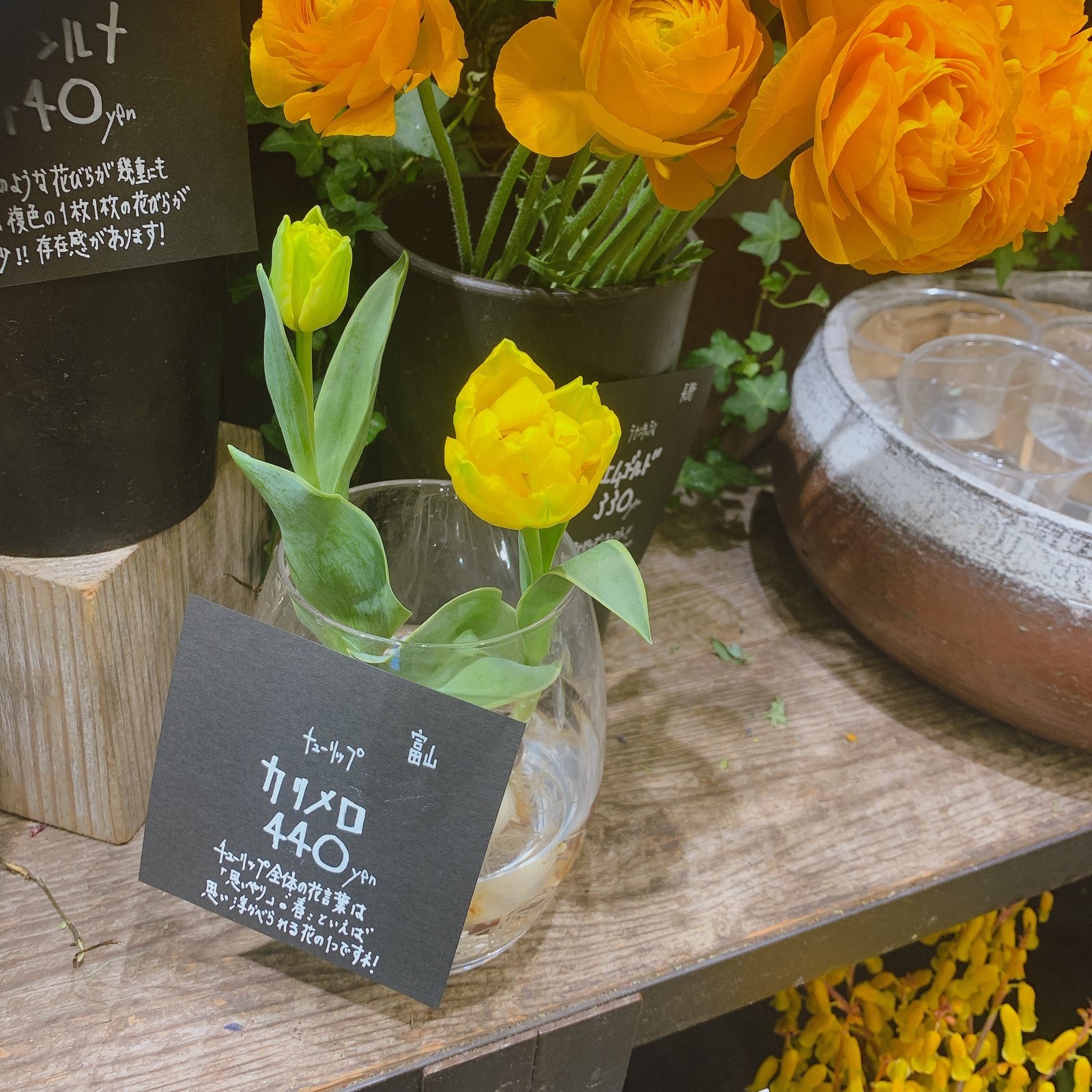 Photo チューリップの名は カリメロ 富田沢乃 Note