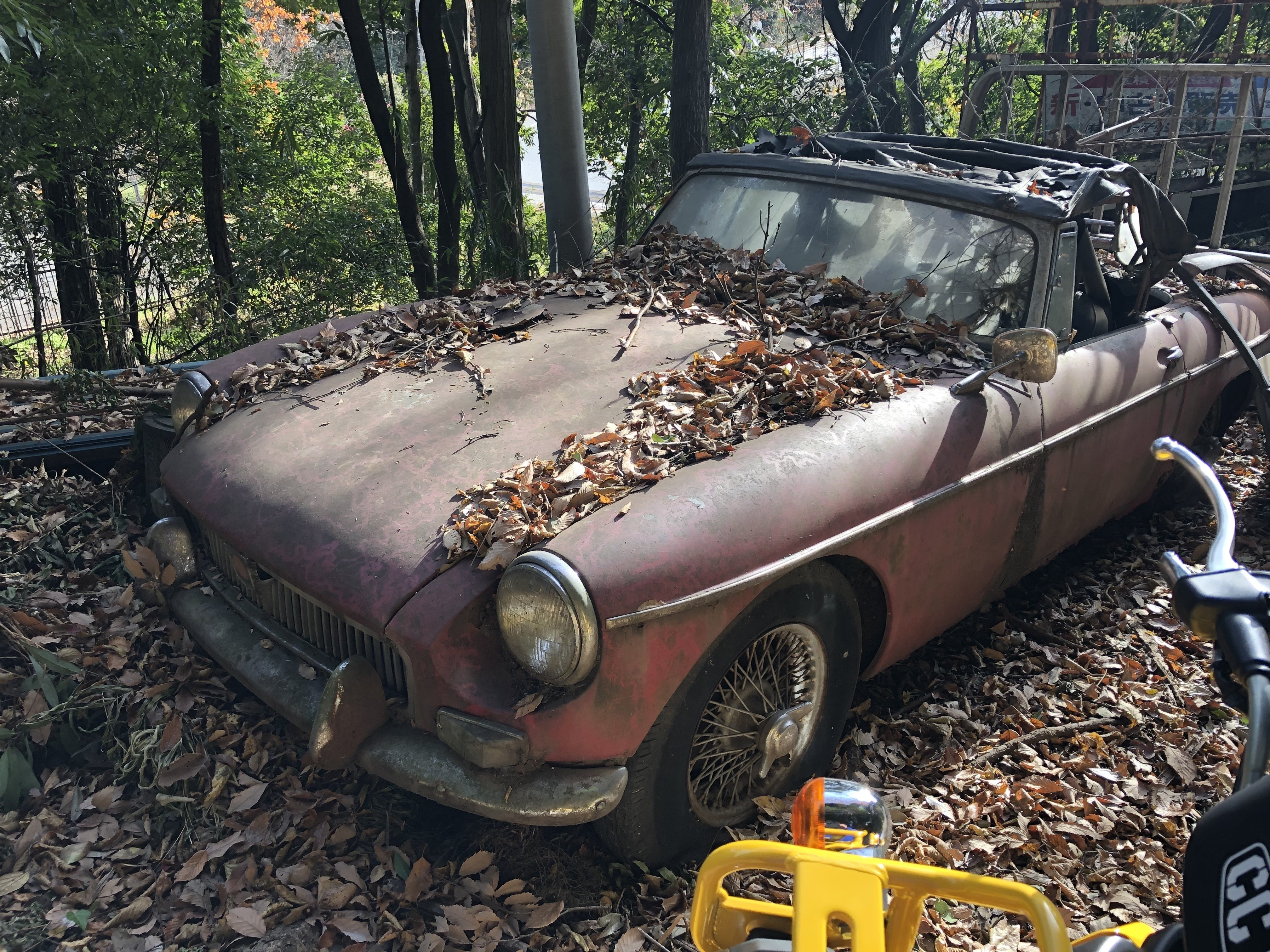 草ヒロの見る夢 Elsinore Note