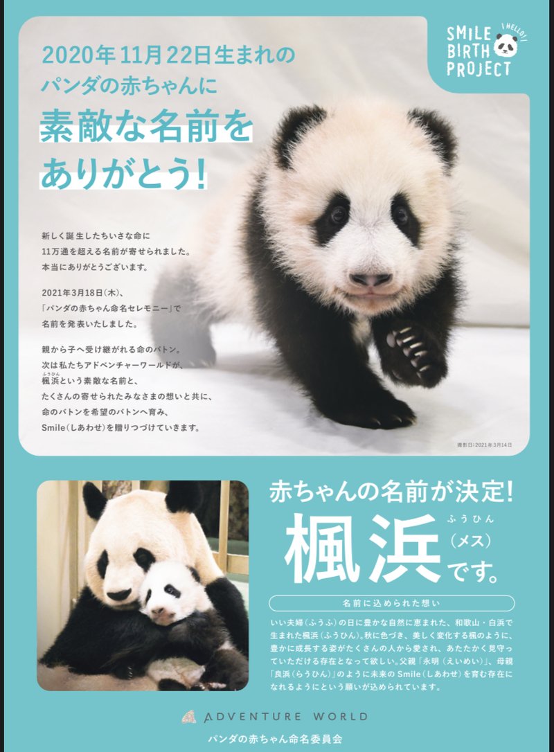 白浜アドベンチャーワールド の新着タグ記事一覧 Note つくる つながる とどける 白浜アドベンチャーワールド の新着タグ記事一覧 Note つくる つながる とどける