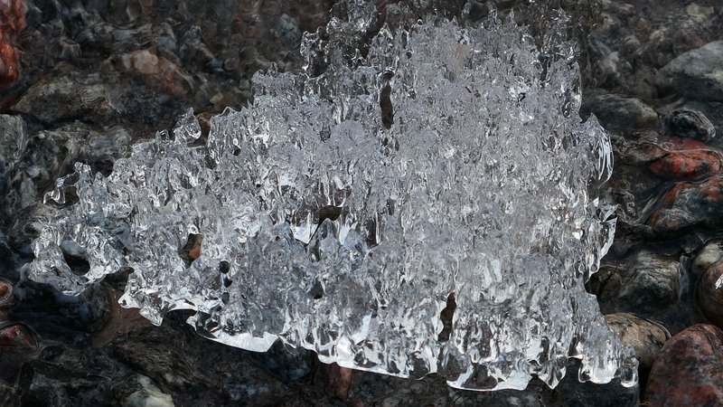 岸辺に残された流氷のかけら