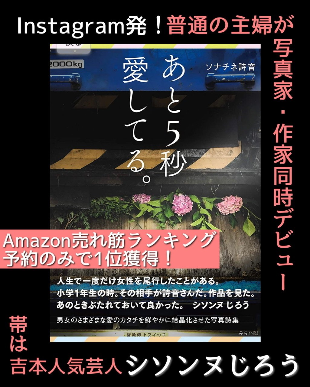 Instagram広告出稿原稿 ソナチネ詩音 公式 コトグラフ作家 Note