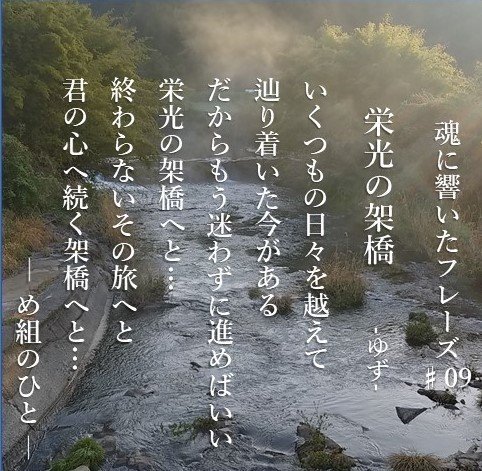 魂に響いたフレーズ 09 め組のひと め組のひと Note 魂に響いたフレーズ 09 め組のひと め組のひと Note