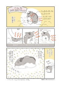 はじめまして 熊鹿るりです 熊鹿るり Note