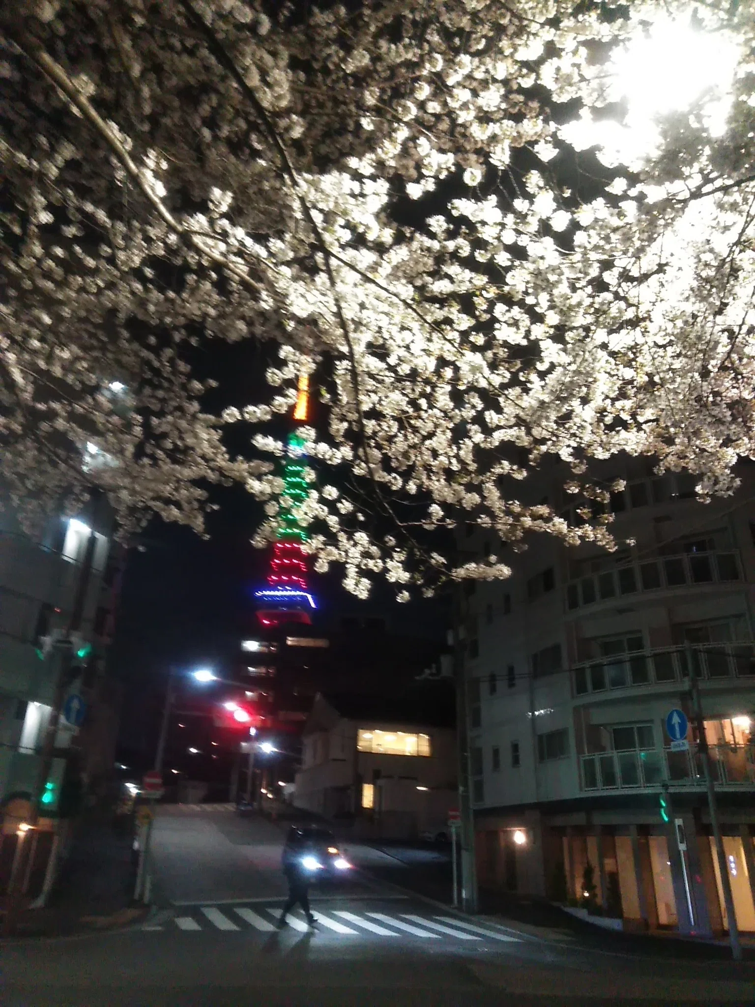 東京タワーと桜 はなえみ 人事 キャリアコンサルタント 産業カウンセラー 宝石鑑定士 Note
