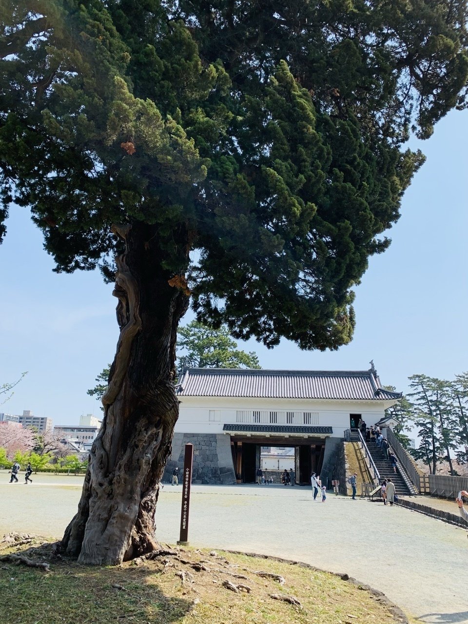 小田原評定 使い方