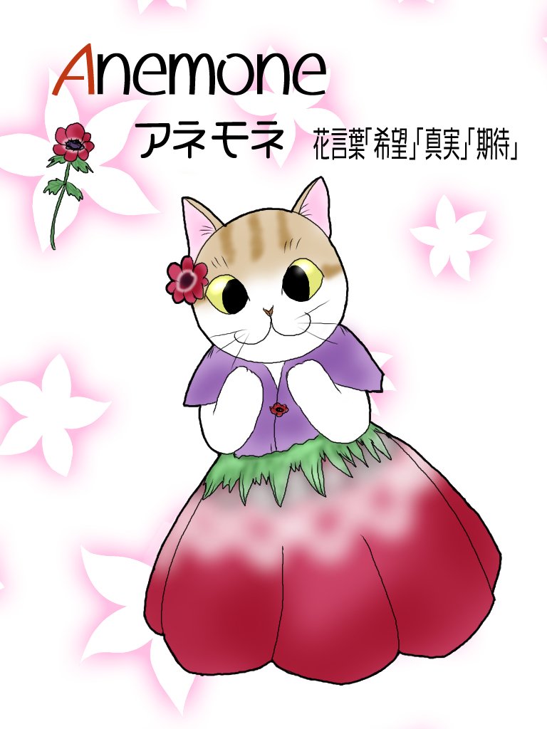 変身にゃんこのａｂｃ お花編 Anemone アネモネ ボタンイチゲ 広翼 Note