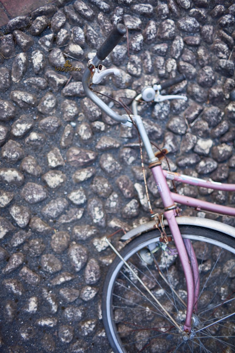 　春には需要の高まる自転車、もっと大切に乗ってほしいと思う。