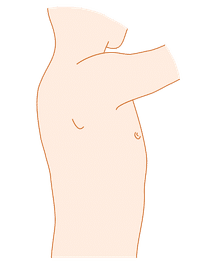 手術記録用イラスト 21年目外科医の妻 Note
