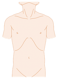 手術記録用オリジナルイラスト 仰臥位 男性 肌色 21年目外科医の妻 Note