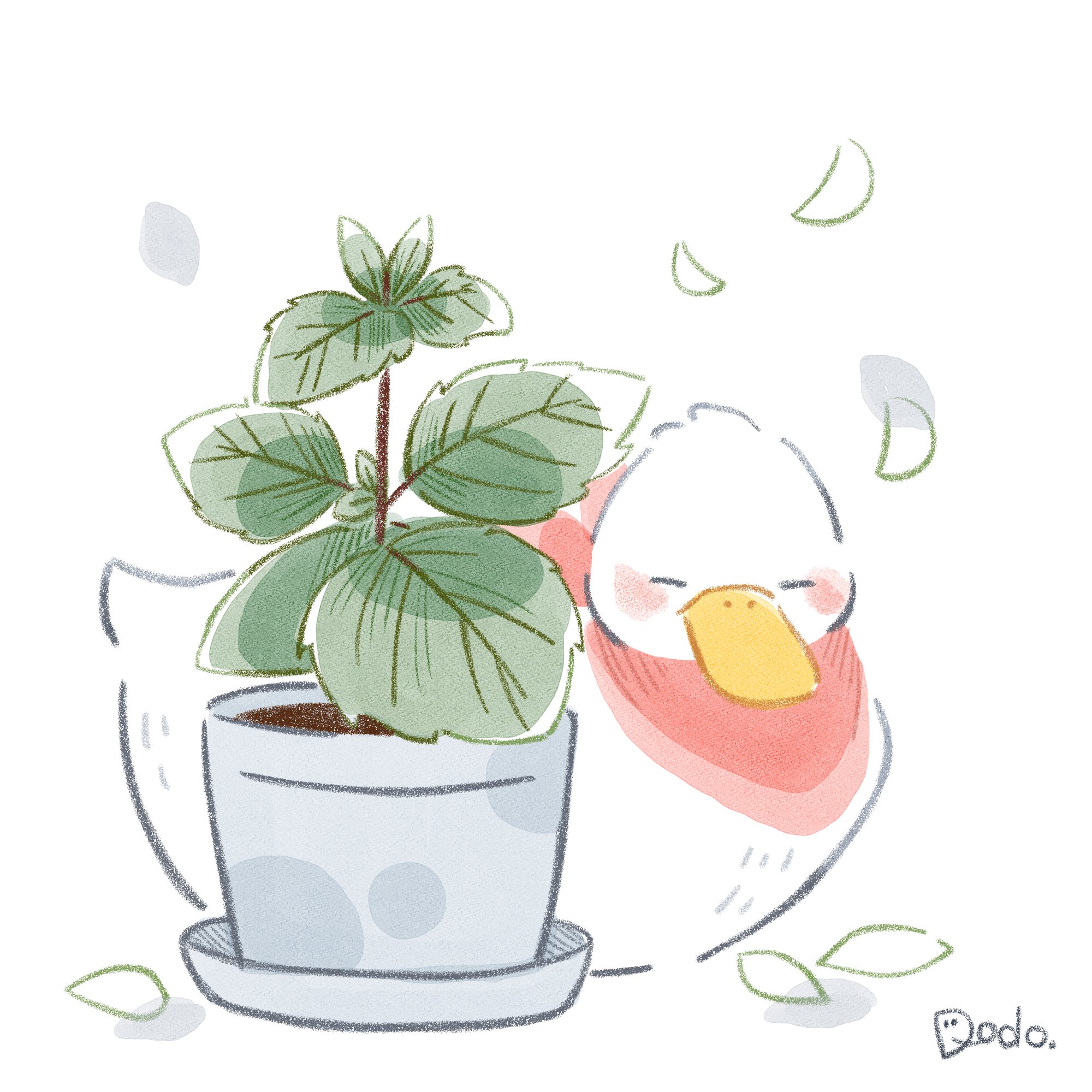 大葉 どーどー Note