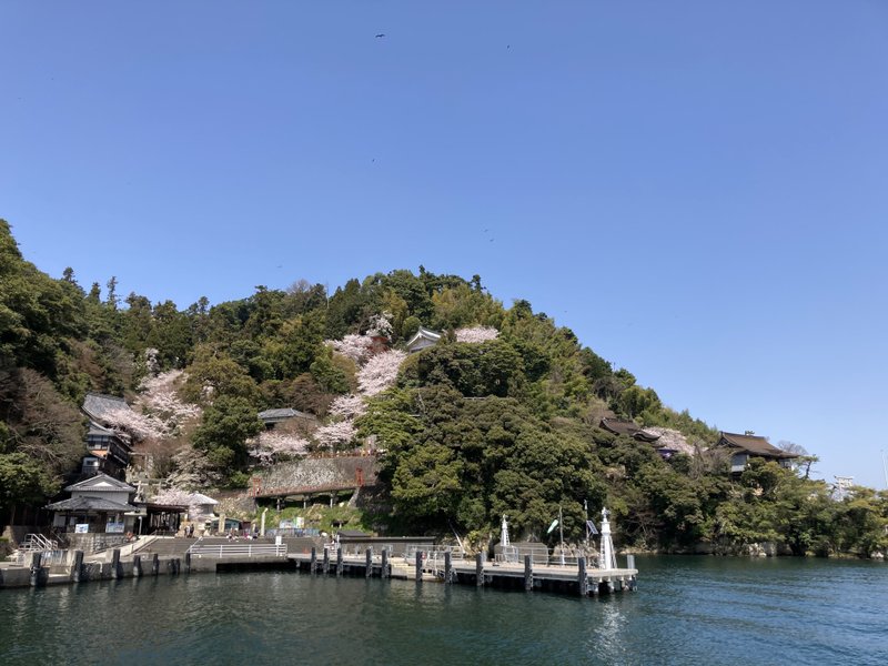 桜咲く竹生島