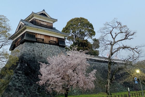 小野由衣子 Note 小野由衣子 Note