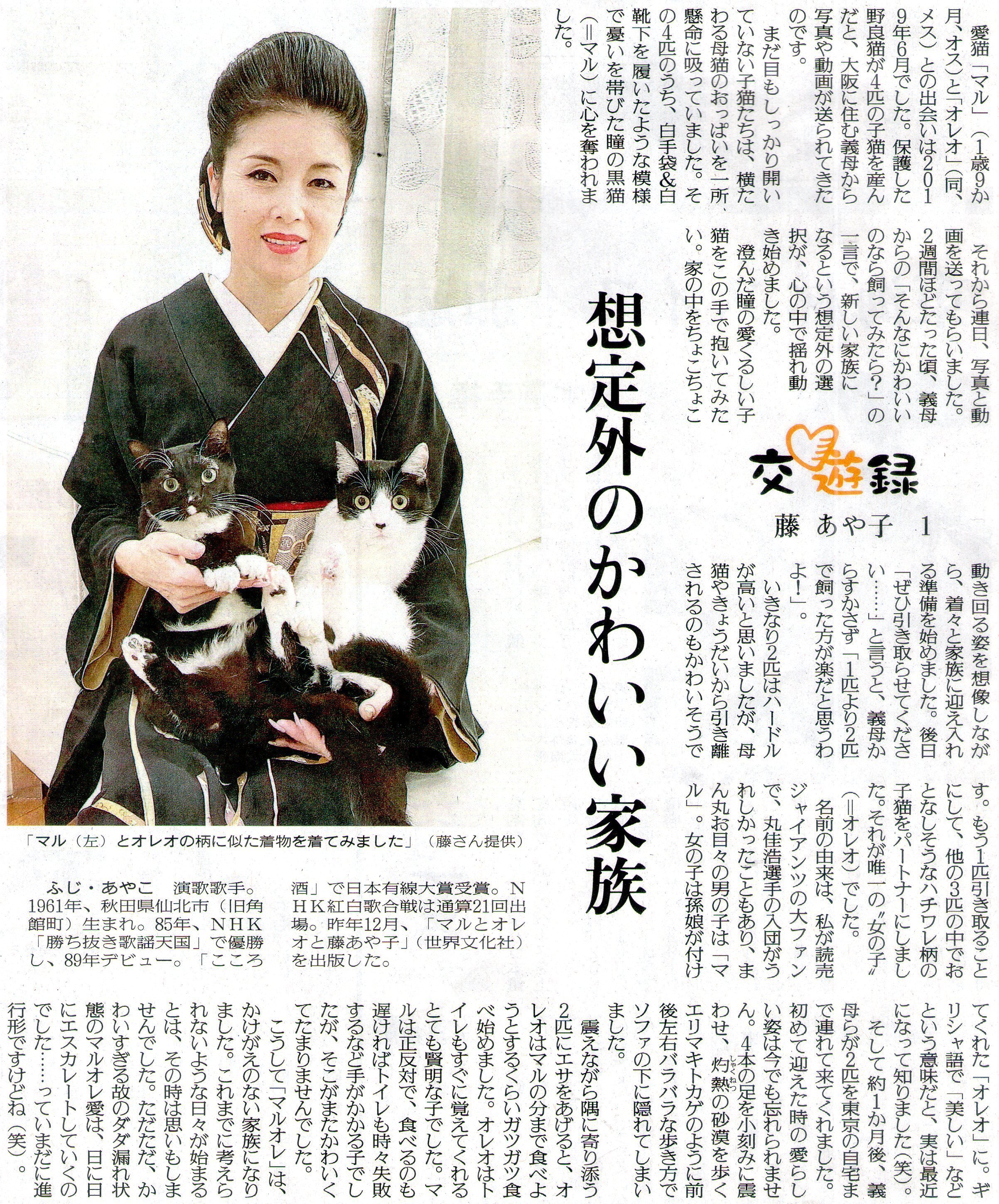 ねこ ネコ ニャンコ マル オレオちゃんとの出会い 大阪のうめ吉 Note
