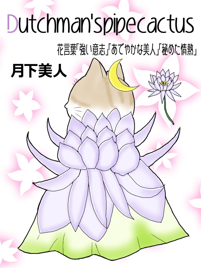 変身にゃんこのａｂｃ お花編 Dutchmans Pipe Cactus 月下美人 広翼 Note