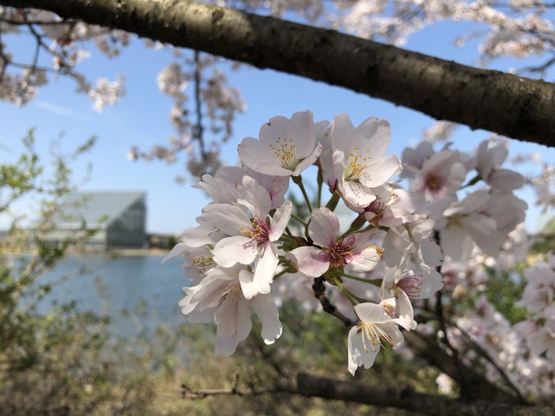 富山県中央植物園 の新着タグ記事一覧 Note つくる つながる とどける 富山県中央植物園 の新着タグ記事一覧 Note つくる つながる とどける