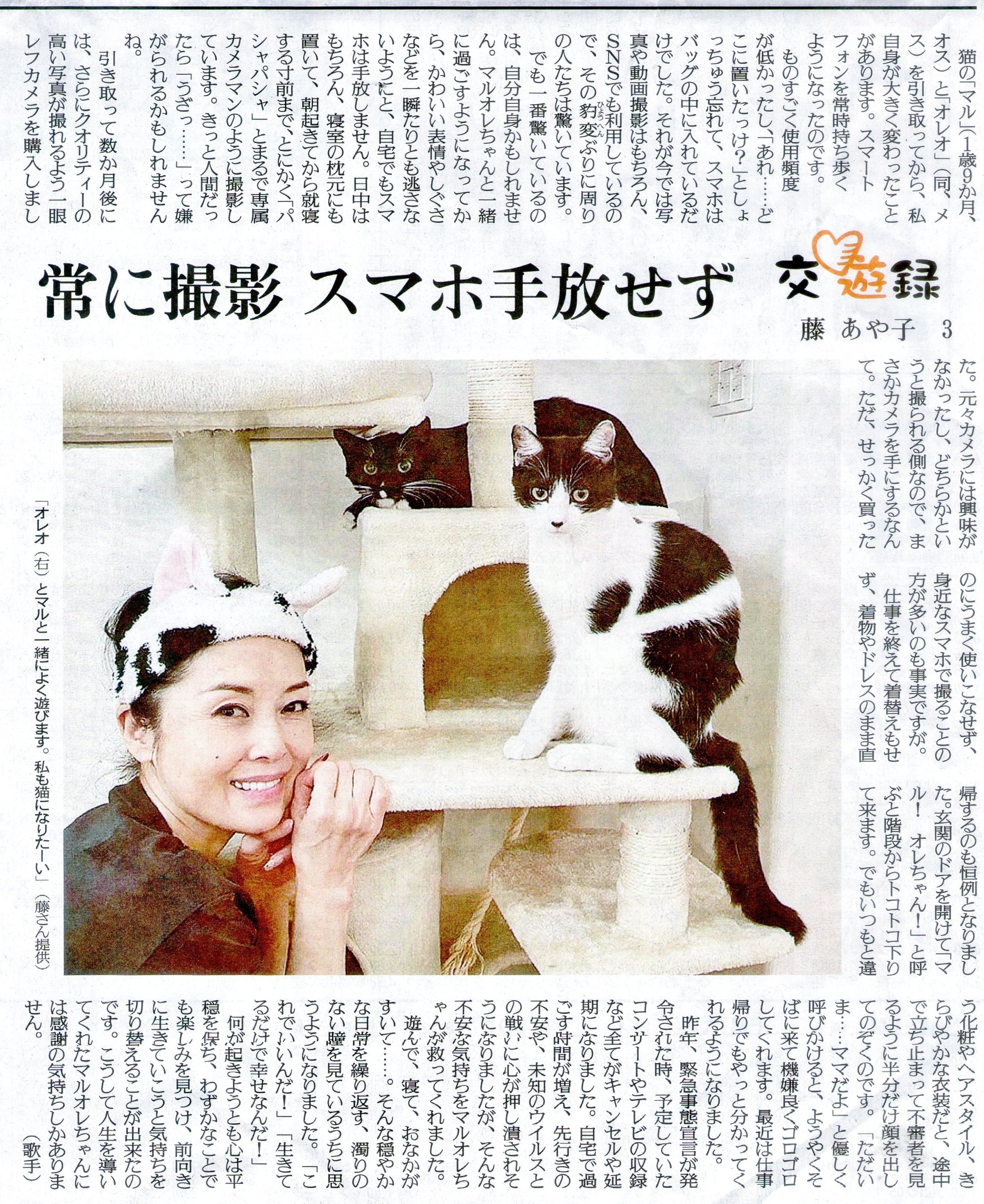 ねこ ネコ ニャンコ ねこちやんの専属カメラマン 大阪のうめ吉 Note ねこ ネコ ニャンコ ねこちやんの専属カメラマン 大阪のうめ吉 Note