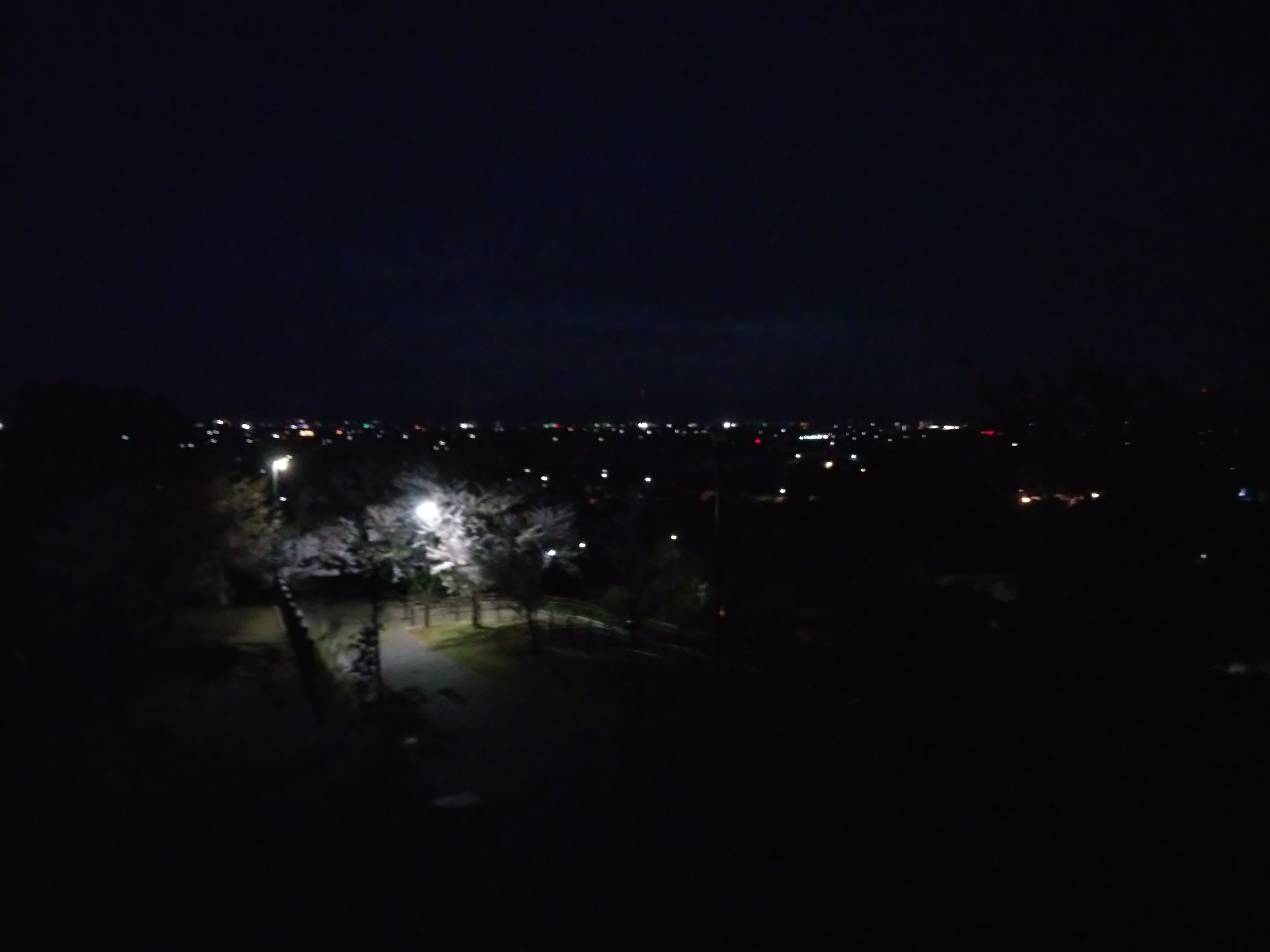 4月4日 早島 城山公園 Yangi Note
