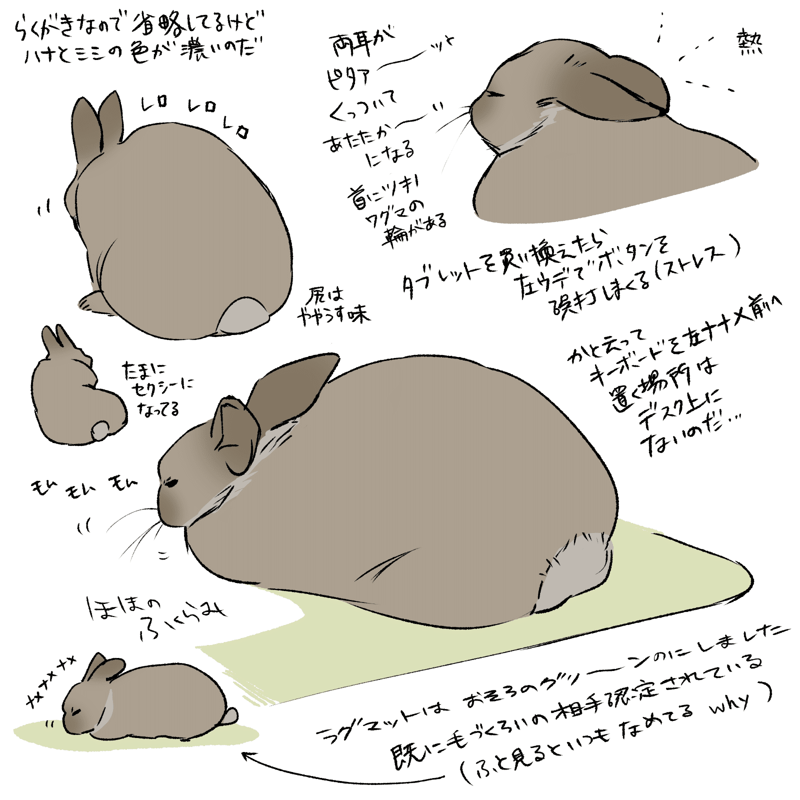 うさぎかんさつにっき｜Kuroji｜辺境絵描き犬