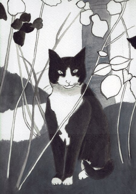 黒猫 Mia Tanabe Note