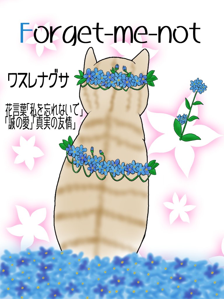 変身にゃんこのabc お花編 Forget Me Not ワスレナグサ 広翼 Note 変身にゃんこのabc お花編 Forget Me Not ワスレナグサ 広翼 Note