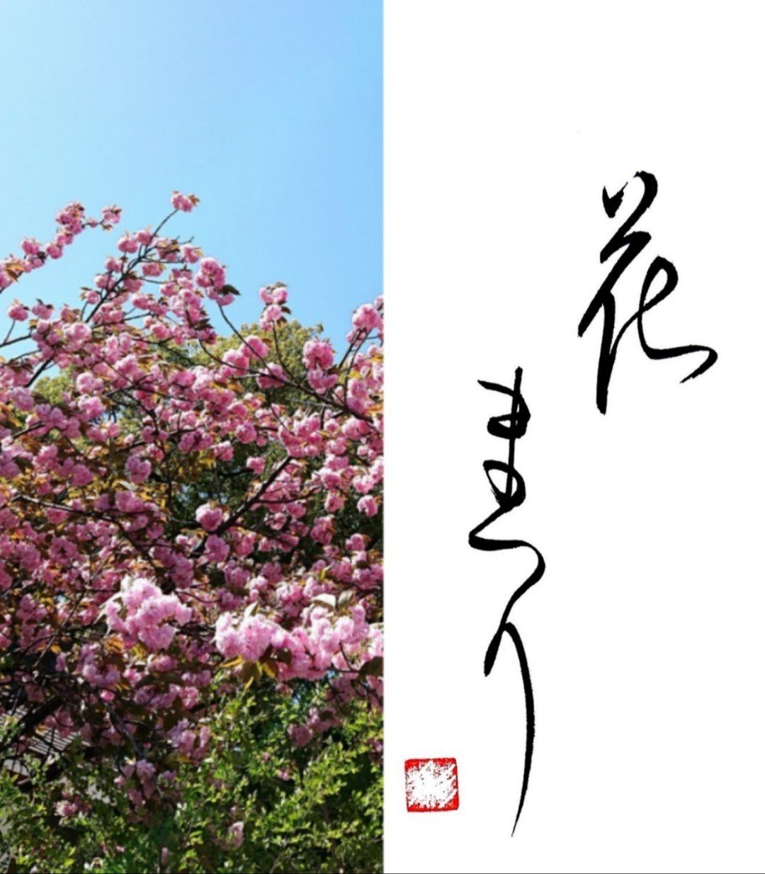 花まつり 書家 彩雪 Note 花まつり 書家 彩雪 Note
