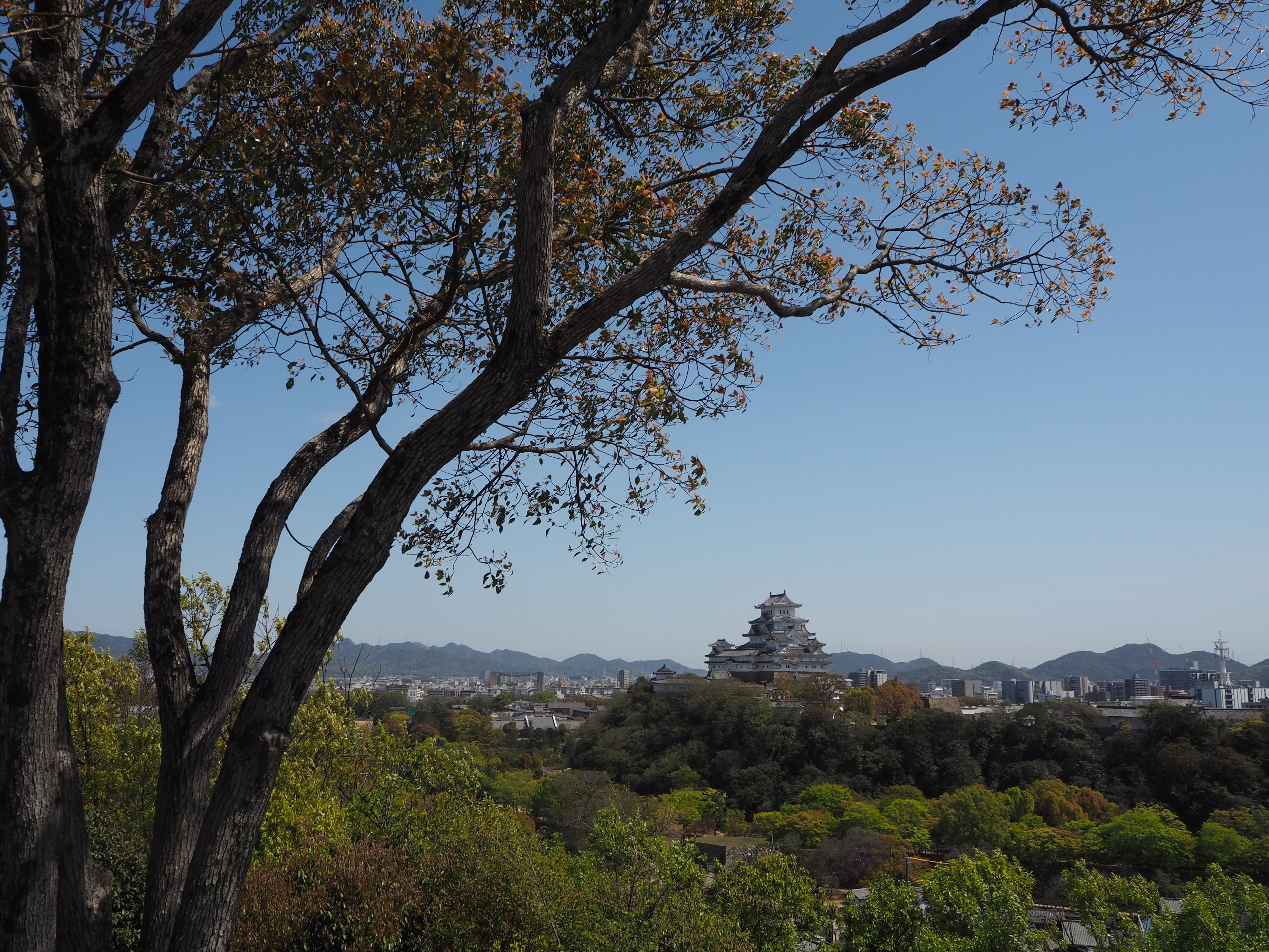 男山配水池公園 きゃめらま Note 男山配水池公園 きゃめらま Note