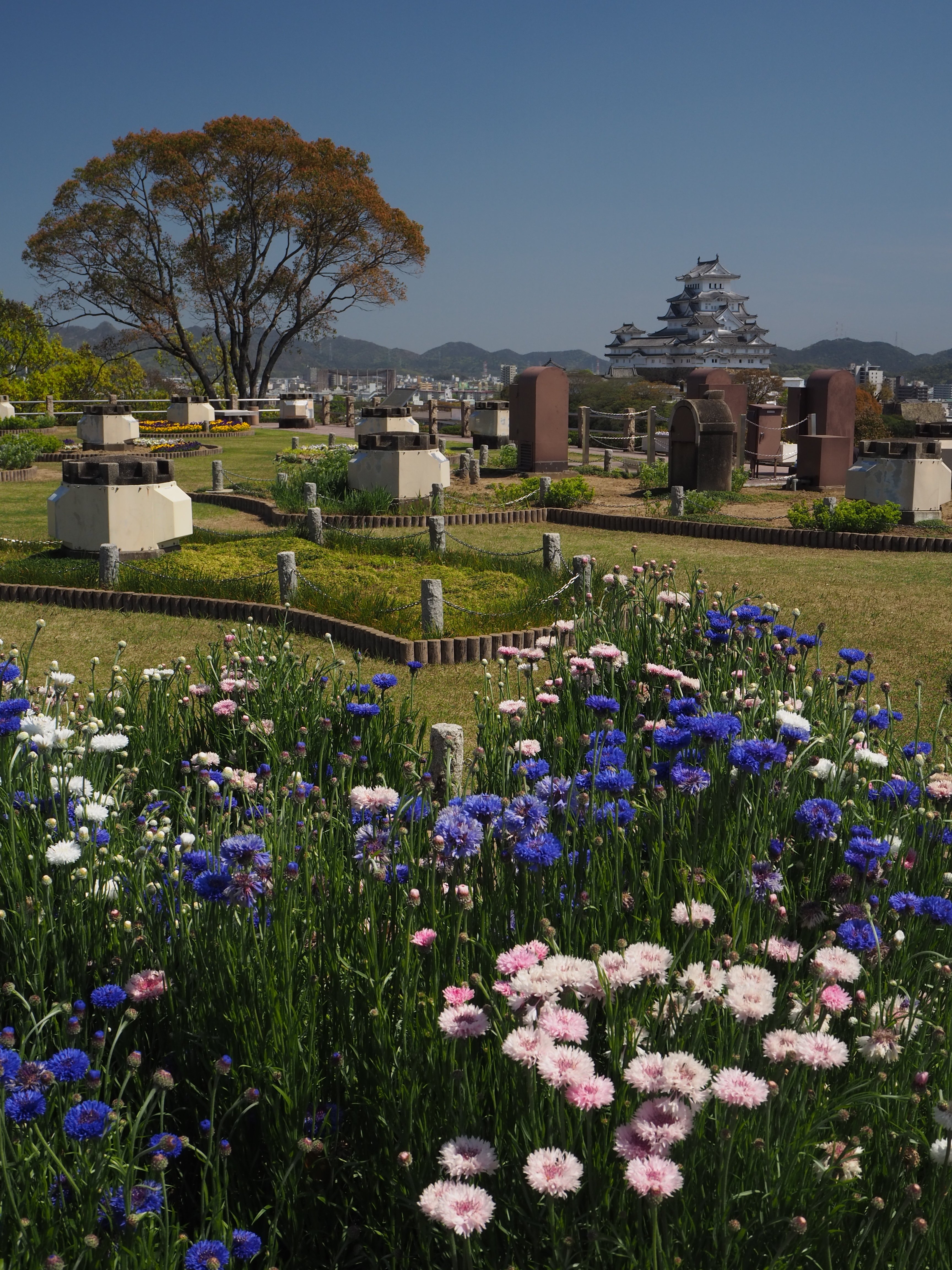 男山配水池公園 きゃめらま Note 男山配水池公園 きゃめらま Note